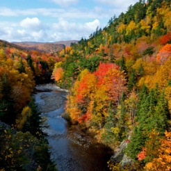 Fall scenery on the east side of the Cabot Trail along the St. Ann's loop